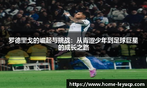 乐鱼彩票官网